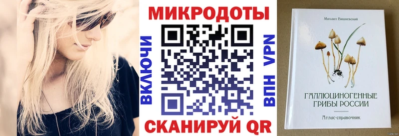 Купить где  Ковров  Галлюциногенные грибы Cubensis 